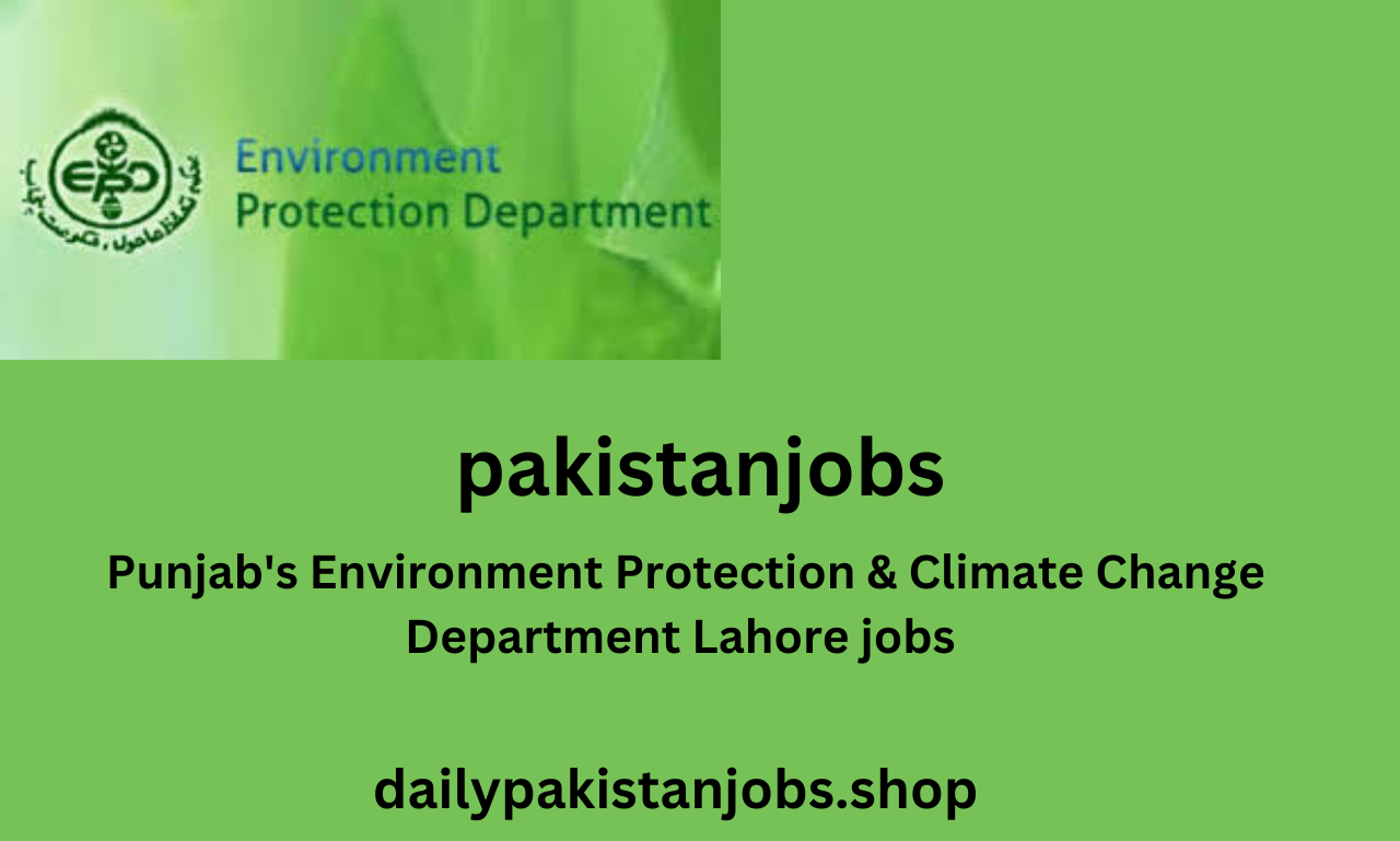 Lahore job